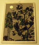 Képek készítése termésekből