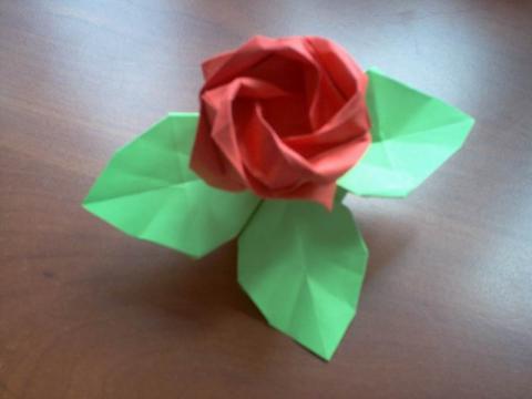 Toshikazu Kawasaki: Rózsa