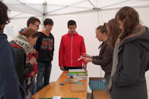 Föld-napi Zöld-nap 15