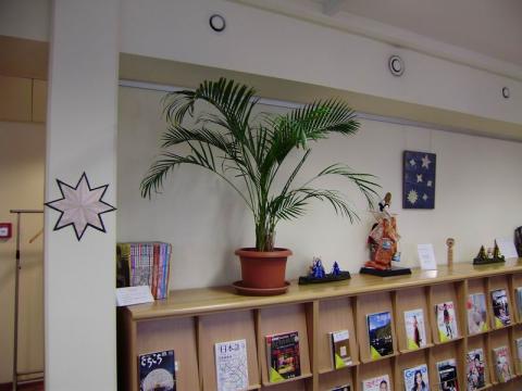 Kusudamák, csillagok, fenyők